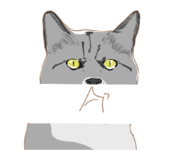 catman1 sticker #10638166