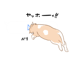 catman1 sticker #10638169