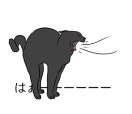 catman1 sticker #10638170