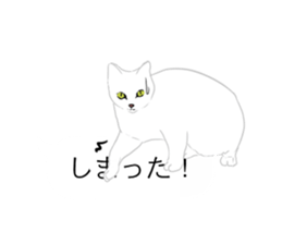 catman1 sticker #10638184