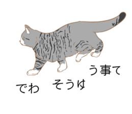 catman1 sticker #10638189