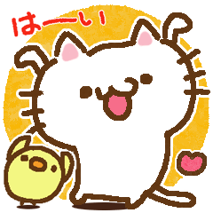 Little cat/daily conversation Ver.