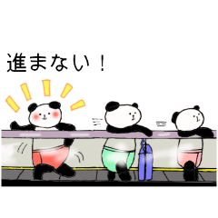 Hasegawa , the Panda