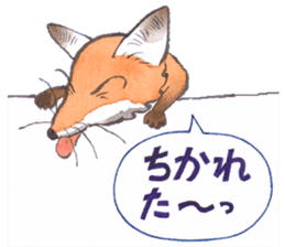 Dream red foxes sticker #10639198