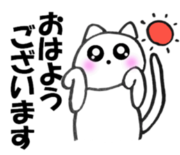Cute white cat white-chan01 sticker #10639976