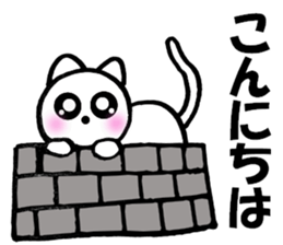 Cute white cat white-chan01 sticker #10639983