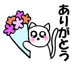 Cute white cat white-chan01 sticker #10639989