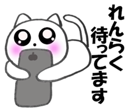 Cute white cat white-chan01 sticker #10639997