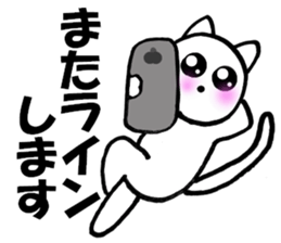 Cute white cat white-chan01 sticker #10639999