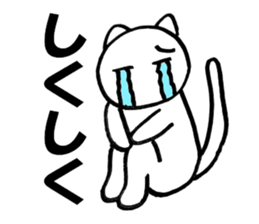 Cute white cat white-chan01 sticker #10640009