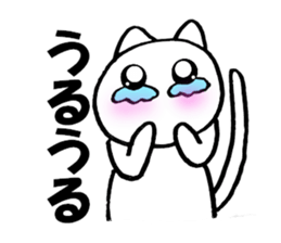 Cute white cat white-chan01 sticker #10640010