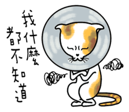 Good Kitten on duty sticker #10641663