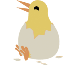 Kiwi Birds sticker #10643417