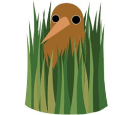 Kiwi Birds sticker #10643427