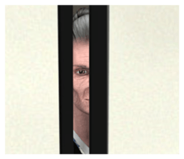 japan's old woman 2 sticker #10644074