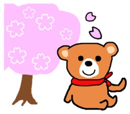 Bear nhochan sticker (Spring Version) sticker #10644946