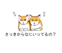 Cat covered balloon sticker #10644968