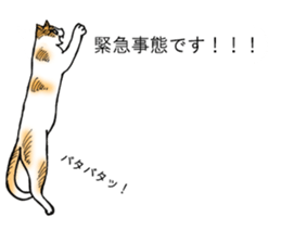 Cat covered balloon sticker #10644979