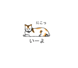 Cat covered balloon sticker #10644982