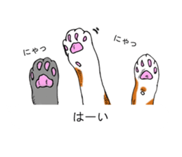 Cat covered balloon sticker #10644985