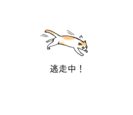 Cat covered balloon sticker #10644987