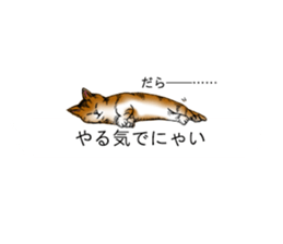 Cat covered balloon sticker #10644990