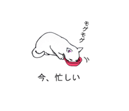 Cat covered balloon sticker #10644992