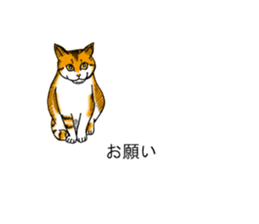 Cat covered balloon sticker #10644993