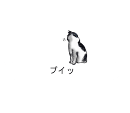 Cat covered balloon sticker #10644994