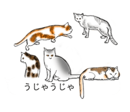 Cat covered balloon sticker #10644999