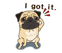 A sticker willingly. Pug (English) sticker #10646564