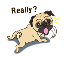 A sticker willingly. Pug (English) sticker #10646570