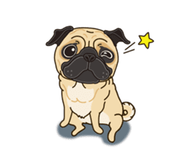 A sticker willingly. Pug (English) sticker #10646571