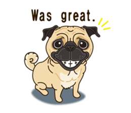 A sticker willingly. Pug (English) sticker #10646572
