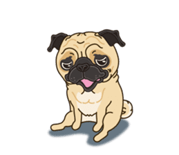 A sticker willingly. Pug (English) sticker #10646574