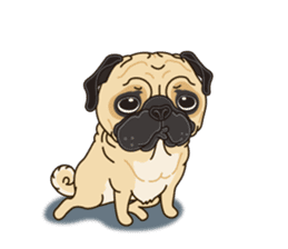 A sticker willingly. Pug (English) sticker #10646577