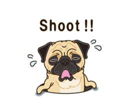 A sticker willingly. Pug (English) sticker #10646580