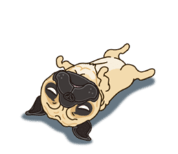 A sticker willingly. Pug (English) sticker #10646582