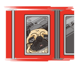 A sticker willingly. Pug (English) sticker #10646587