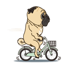 A sticker willingly. Pug (English) sticker #10646588