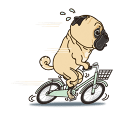 A sticker willingly. Pug (English) sticker #10646589