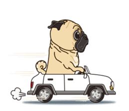 A sticker willingly. Pug (English) sticker #10646590