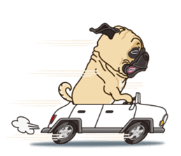 A sticker willingly. Pug (English) sticker #10646591