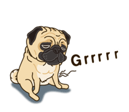 A sticker willingly. Pug (English) sticker #10646592