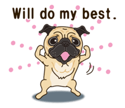 A sticker willingly. Pug (English) sticker #10646594