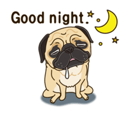 A sticker willingly. Pug (English) sticker #10646599