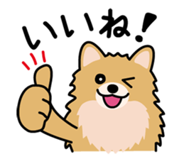 Cute! Pomeranian Stickers sticker #10647683