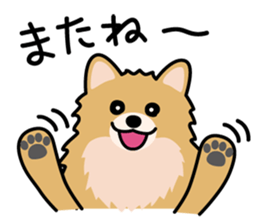 Cute! Pomeranian Stickers sticker #10647684