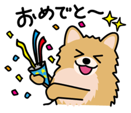 Cute! Pomeranian Stickers sticker #10647688