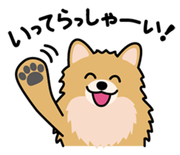 Cute! Pomeranian Stickers sticker #10647691